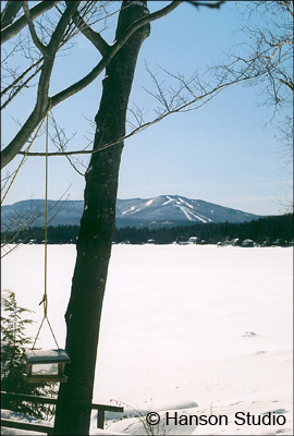 Sunapee, NH - Mountain, Lake, and Bird Feeder - Winter